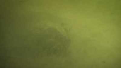 BENEDICT: And the river
is too murky to find her way. - Super/Natural