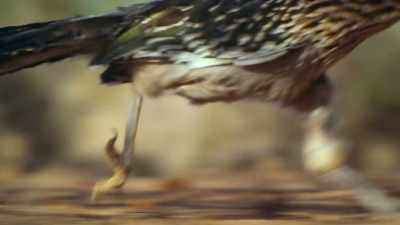 BENEDICT: Another meal secured,
Dad heads home... - Super/Natural