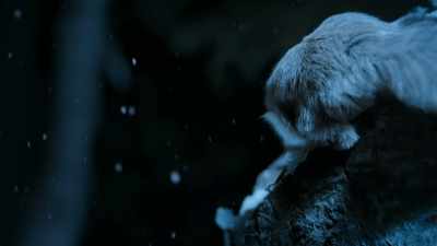 BENEDICT: Sailing between the trees,
he finds enough food with minimal effort. - Super/Natural