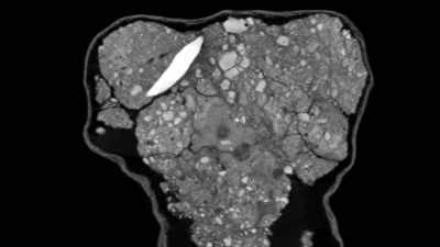 [BERGER] If this tool-shaped rock
is definitively a tool, - Unknown: Cave of Bones