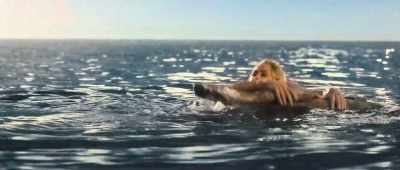- Bernadette!
- [Bernadette squawks] - Palm Royale