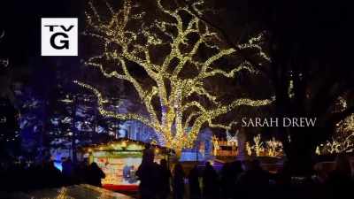 Besides, everybody's
getting all set up - Christmas in Vienna