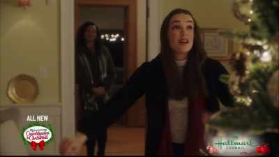 Besides, it's obvious that you
can decorate a house - Christmas at the Plaza