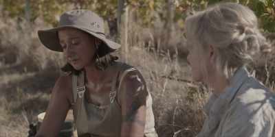 Besides, Stanley couldn't
hold a grudge - Under the Vines