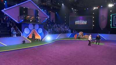 Best in Snoring, Capone, - 2022 American Rescue Dog Show