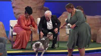 Best in Snoring going for - 2022 American Rescue Dog Show