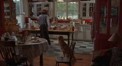 Bet you don't even know how to sit - Far from Home: The Adventures of Yellow Dog
