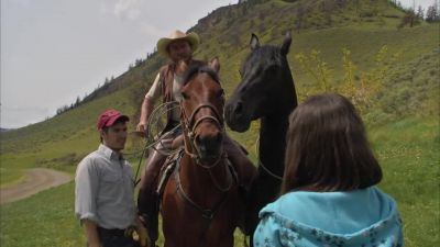 Bet she's never even seen a horse before - Flicka 2