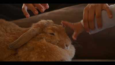 Better be careful that he doesn't put
his hands in Cocoa's eyes, - Babies