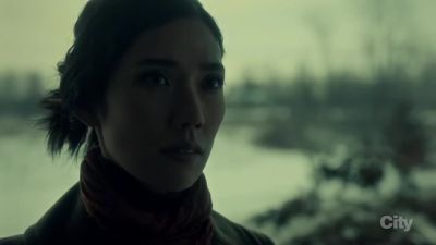 Between iron and silver... - Hannibal