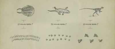 ... between production set of footprints and animal he made them. - Is Genesis History?
