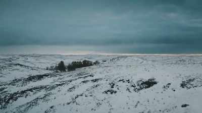 BETWEEN THE SPRING RAINS
AND THE WINTER FREEZE, - Dino Hunters