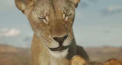Beyond the horizon, - Mufasa: The Lion King