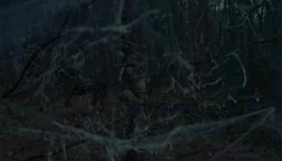 Beyond those gates will
be as dark as night, - Hawk the Slayer