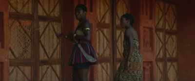 Beyond this wall,
this is a palace of women. - The Woman King