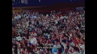 Bibi!  King of Israel! - The Bibi Files