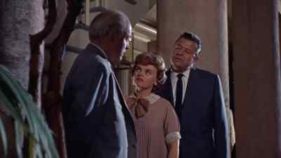 - Big Daddy should make plans.
- If he should die before... - Cat on a Hot Tin Roof