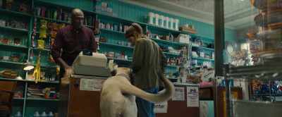 Big Dog! Wow, he never gets up
for anything. - A Dog's Journey