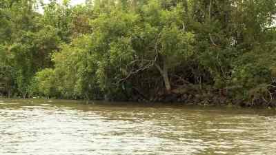   -Big gator, babe. Big gator.
         -Oh, yeah, man. - Swamp People