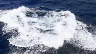 "Big leaps tell other whales
where they are," - Secrets of the Whales