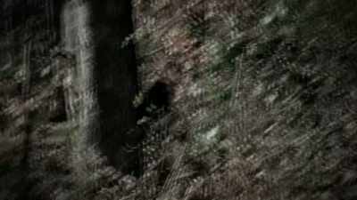 BIGFOOT IS TYPICALLY DESCRIBED - Strange Evidence