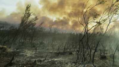Bigger, hotter fires can burn
the soil there - The Green Planet