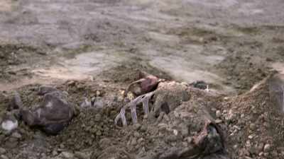 Bigham: THE FIRST BODY,
IT WAS BADLY DECOMPOSED. - Bloodlands