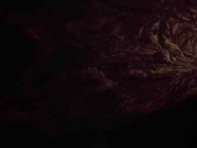 Bilbo, where are you? - The Hobbit