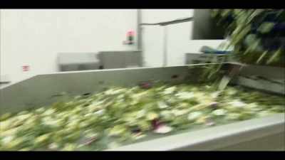 [BILL] All the outbreaks
that I've been involved in - Poisoned: The Dirty Truth About Your Food