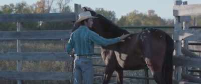 BILL: Did you... Did you learn this
on your own, - The Rider