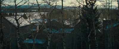Bill got a price on her. - The Thicket
