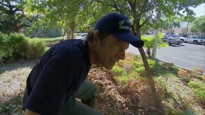 Bill:
IT MAY BE HIDING INSIDE. - Dirty Jobs