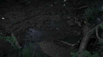 [Bill] When we came out here
and did the initial search, - Unsolved Mysteries