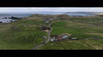 Billy brought me to Shetland, - Billy & Molly: An Otter Love Story