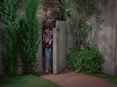 Billy: HEY, OPIE? - The Andy Griffith Show
