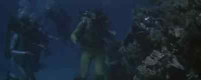 Bio-coral. Do not touch them.
They cause severe burns. - Captain Nemo and the Underwater City