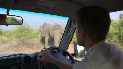 Biologist Mike Chase - In the Footsteps of Elephant