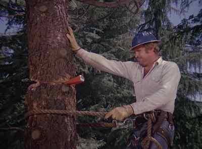 (BIONIC SOUND EFFECT)
(WOOD CREAKING) - The Six Million Dollar Man
