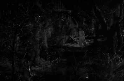 [Bird Cawing] - Son of Dracula