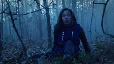 (bird cawing) - Sleepy Hollow