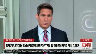 Bird flu, bird flu, bird flu, - Thank You Dr. Fauci