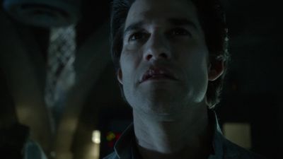 Bird is in the air. - The 100