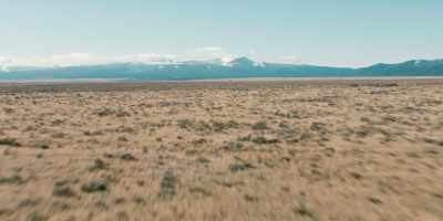 (BIRD SCREECHING) - Yellowstone