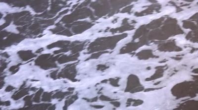 [BIRD SINGING] - Baywatch