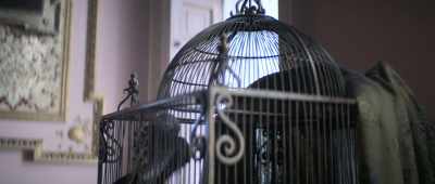 - [bird squawking]
- [playful music continues] - Doctor Jekyll