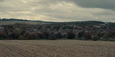 [Bird squawking] - The Midwich Cuckoos