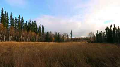 [ BIRD SQUAWKING ] - The Last Alaskans