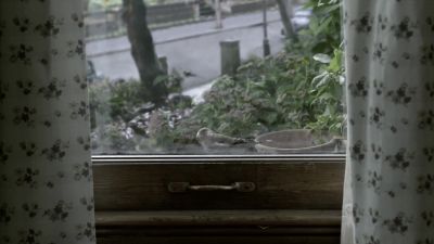 (BIRD TWEETING) - Outlander