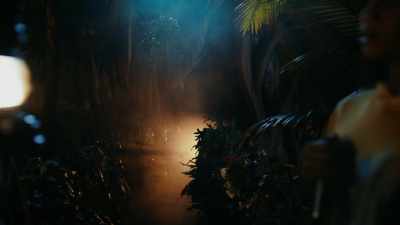 - [BIRD WARBLES]
- [FROGS CROAKING] - The Curious Case of Dolphin Bay