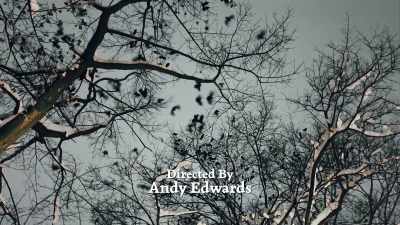 [bird wings flapping] - Cinderella's Revenge